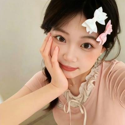 竞选伙伴 封面